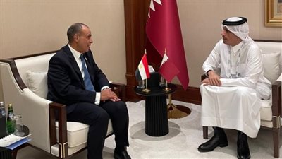 وزيرا خارجية مصر وقطر 