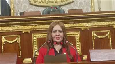  النائبة جيهان البيومي عضو مجلس النواب    