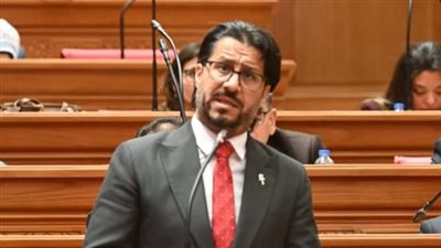 احمد بلال البرلسى    