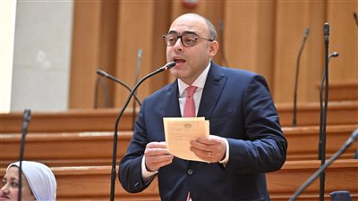 النائب أحمد علاء فايد    