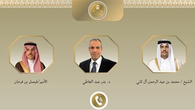 وزير الخارجية بدر عبد العاطي     