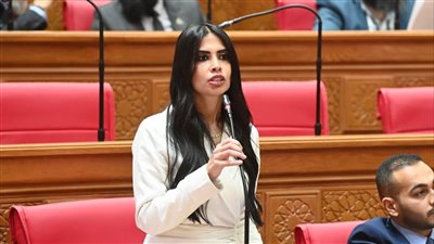 النائبة هايدي المغازي    