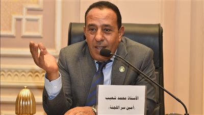 النائب محمد شعيب عضو مجلس الشيوخ    