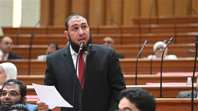 النائب محمود رشاد حبيب    
