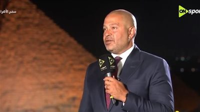 النائب أحمد دياب    