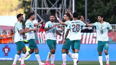 البرتغال ضد تشيلي.. ملخص اهداف ونتيجه منتخب البرتغال وتشيلي     