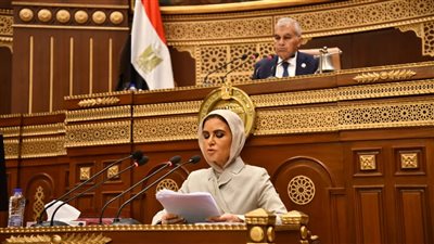 النائبة  سحر نصر     