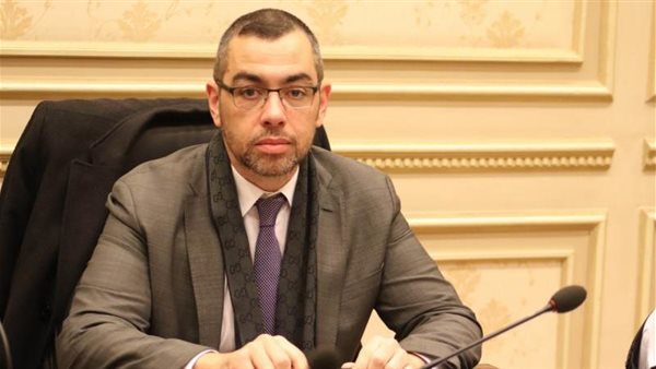 الدكتور محمد فؤاد عضو مجلس النواب    