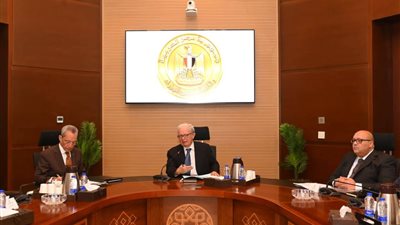 نائب رئيس الوزراء للشؤون الاقتصادية 