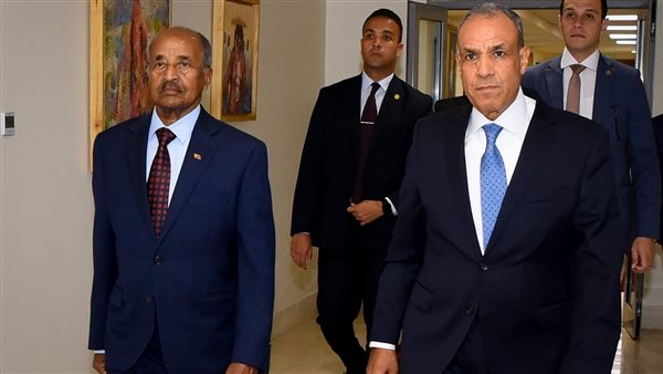 وزيرا خارجية مصر وإريتريا     