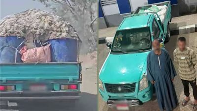 دواجن نافقة     