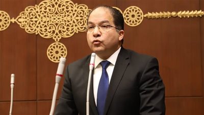  النائب عادل اللمعى عضو مجلس النواب    