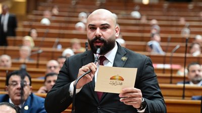 النائب إبراهيم الديب عضو مجلس النواب    