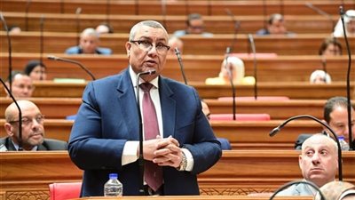  النائب مصطفى سالم    
