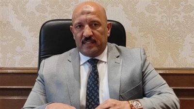 النائب أحمد الحديد عضو مجلس النواب     