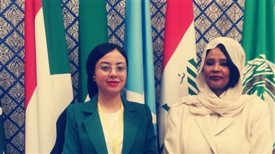 خلال لقاء مع وزير مفوض بجامعة الدول العربية    