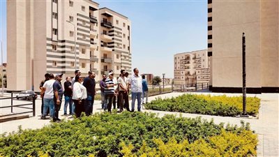 الإسكان 