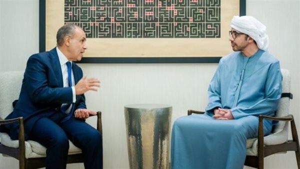وزيرا خارجية مصر والإمارات    