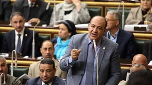 د.مجدى مرشد عضو مجلس