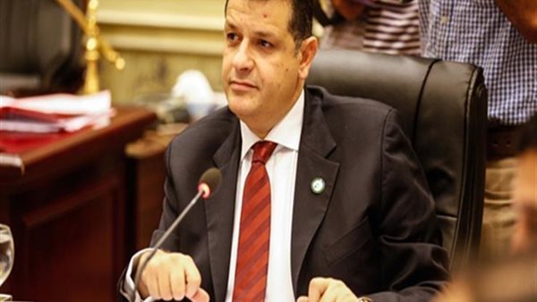 النائب طارق رضوان