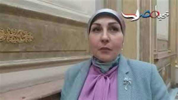 النائبة هالة ابو