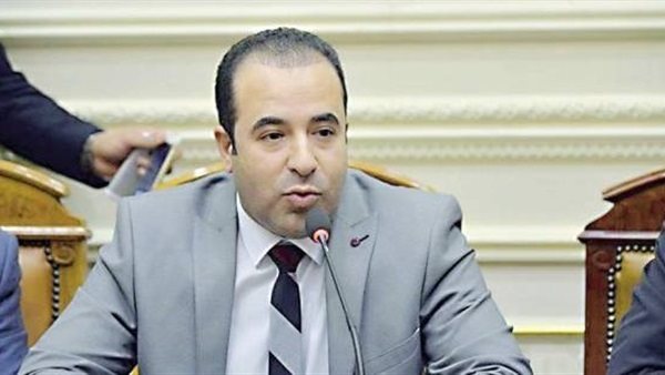 النائب احمد بدوى