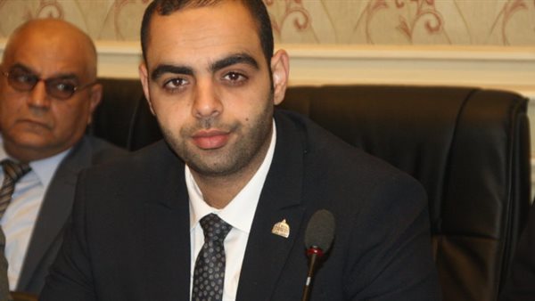 النائب حسن عمر حسنين