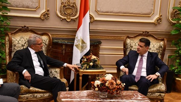 النائب طارق رضوان