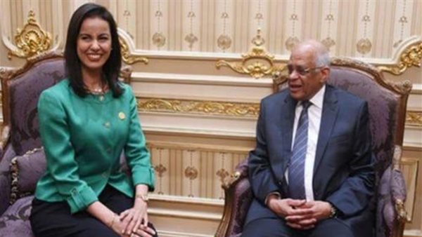 د.على عبد العال والنائب