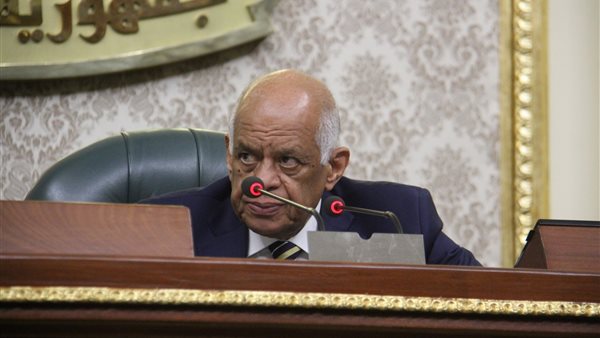 د.على عبد العال رئيس