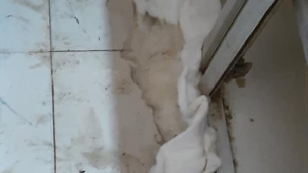 القطن الطبي