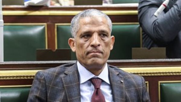  النائب محمد الحسينى