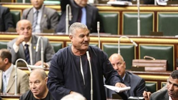  النائب صابر عبد