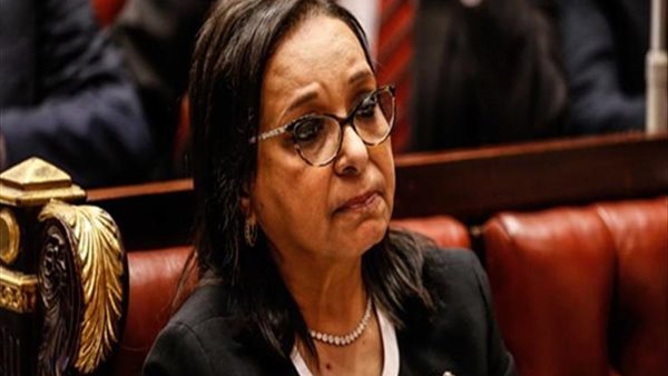 النائبة أنيسة حسونة