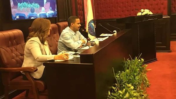 حزب مستقبل وطن