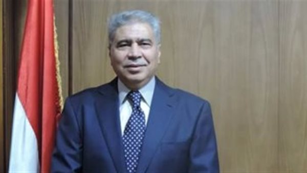 محافظ المنيا