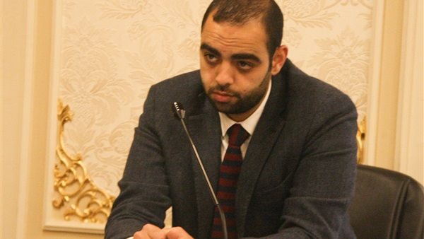 النائب حسن عمر حسنين