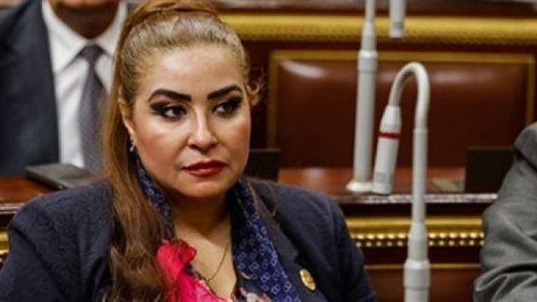 النائبة غادة عجمي