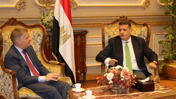 النائب طارق رضوان