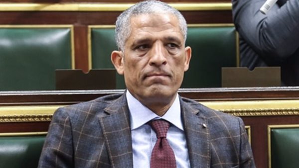 النائب محمد الحسينى