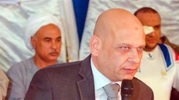 محمد الحناوي