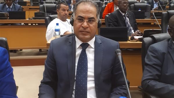 النائب سليمان وهدان