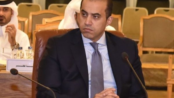 المستشار محمود فوزي