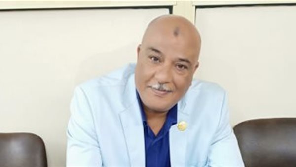 النائب عصام الصافى