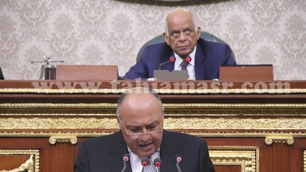 السفير سامح شكرى