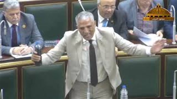 النائب محمد الحسينى