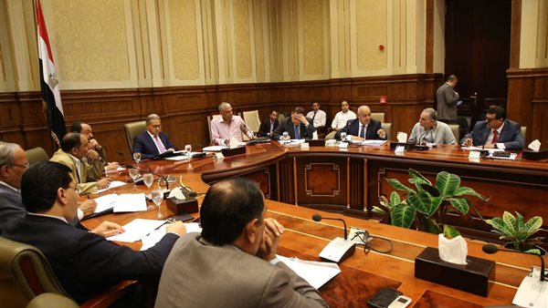 جانب من اجتماع لجنة