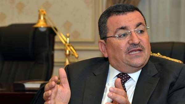 النائب اسامة هيكل