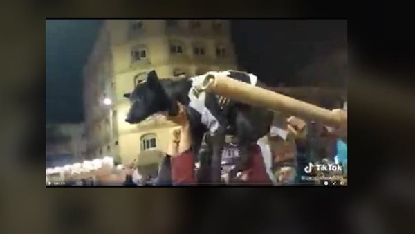 تحيا مصر