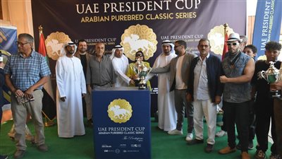 كأس رئيس دولة الإمارات للخيول العربية